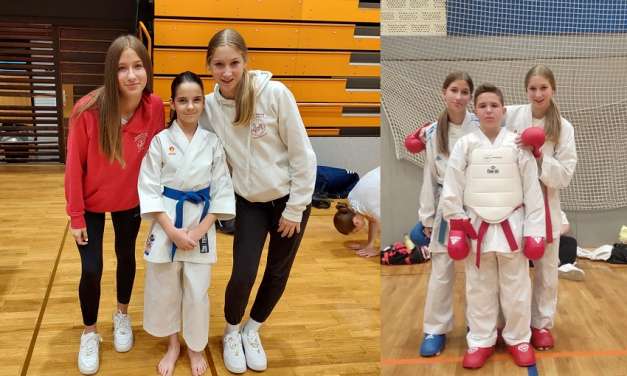 Iz Kranja s stremi medaljami za karate klub Kozjansko in Obsotelje