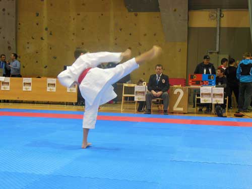 41. mednarodni turnir “TRBOVLJE 2013”