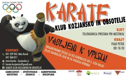 VPISI V ŠOLSKEM LETU 2016/17