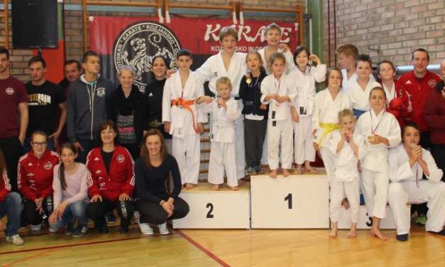 NA 2.KOLU ŠOLSKE KARATE LIGE V PODČETRTKU OSVOJILI 17.MEDALJ