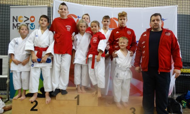 Fenomenalno skupno 2. mesto za klub po osvojenih odličjih na 2. pokalni tekmi Slovenije