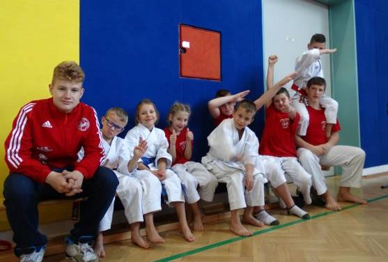TRIJE POKALNI PRVAKI SLOVENIJE ZA LETO 2016 ZA KARATE KLUB KOZJANSKO IN OBSOTELJE