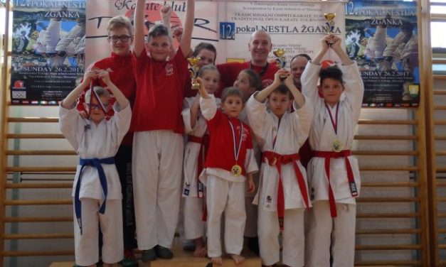 IZJEMI DOSEŽKI KARATE KLUBA KOZJANSKO IN OBSOTELJE