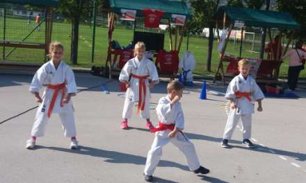 Predstavitev karateja v sklopu projekta: Bodimo ZDRAVI, AKTIVNI, ČILI ŠMARČANI …