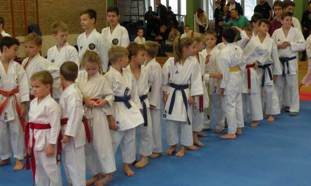 Organizirali še zadnjo tekmo v letu 2017 -2. kolo šolske karate lige