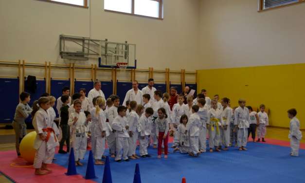 REKORDNA UDELEŽBA PODLMALDKA KARATE KLUBA KOZJANSKO IN OBSOTELJE NA DOMAČI KLUBSKI TEKMI “KOZJANČEK 2017”