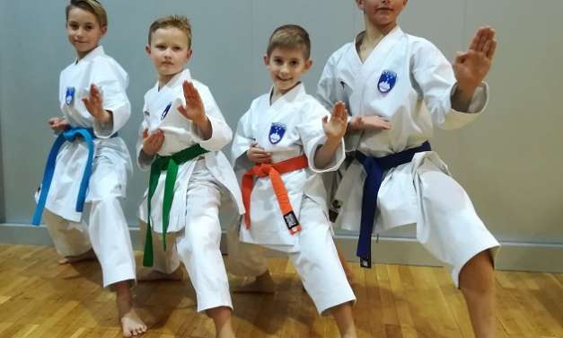 ŠTIRJE ČLANI KARATE KLUBA KOZJANSKO IN OBSOTELJE IZBRANI V OŽJI IZBOR OTROŠKE KARATE REPREZENTANCE