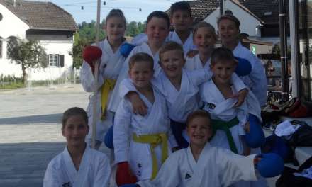 V Vasi Lipa karateisti izvedli kratko predstavitev