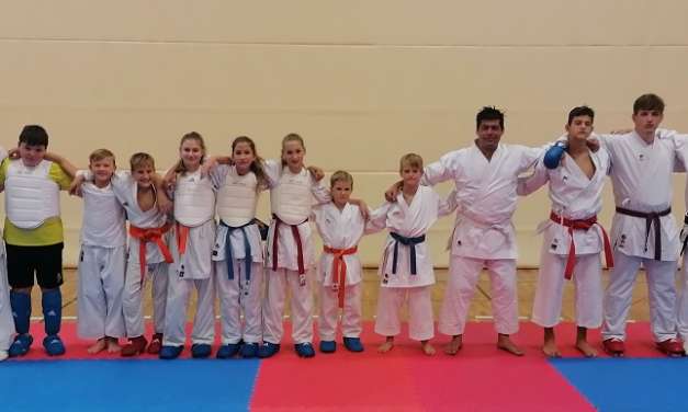 Karateisti Kozjanskega in Obsotelja na državnem prvenstvu Slovenije osvojili 5.medalj