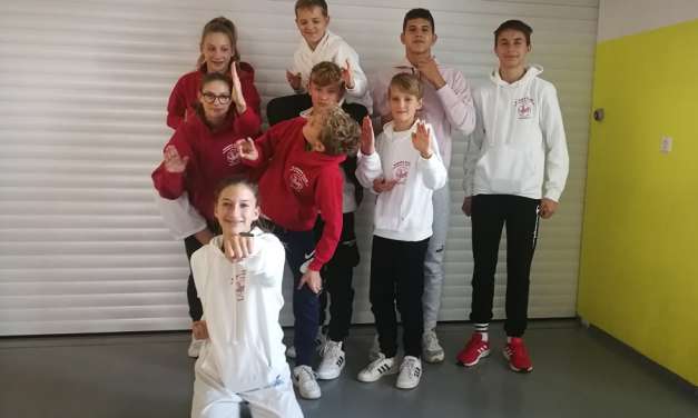 Kar šest medalj za karateiste Kozjanskega in Obsotelja na zadnji pokalni tekmi. Luka Bele pokalni zmagovalec tako v katah kot skupno, Filip Lotrič, Tilen Prah in Leon Sodin ekipno kata pokalni zmagovalci