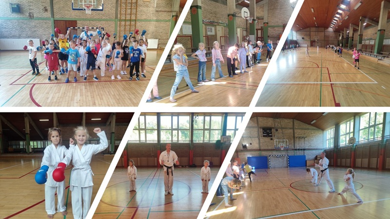 Predstavitev karateja na OŠ Podčetrtek in podružnični šoli Pristava pri Mestinju